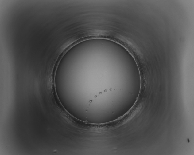 X0000102791073200808251024