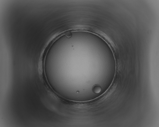 X0000102791075200808251024