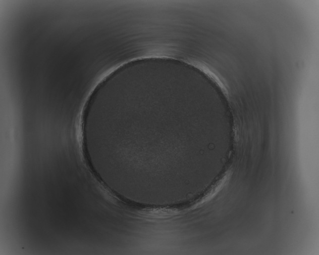 X0000102791077200808251024