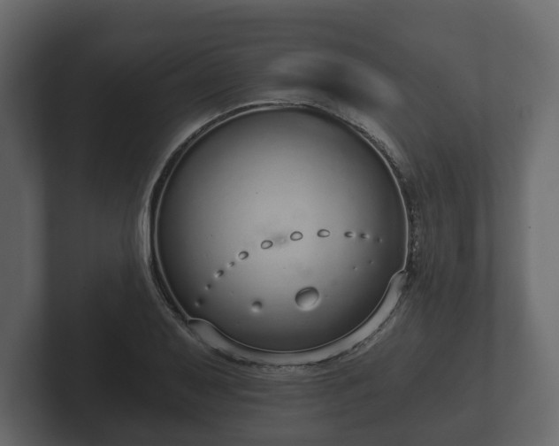 X0000102791079200808251024