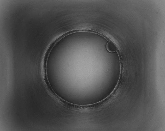 X0000102791080200808251024