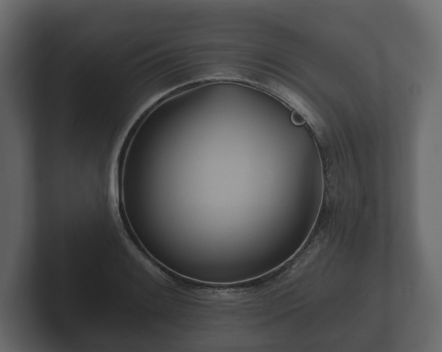 X0000102791084200808251024