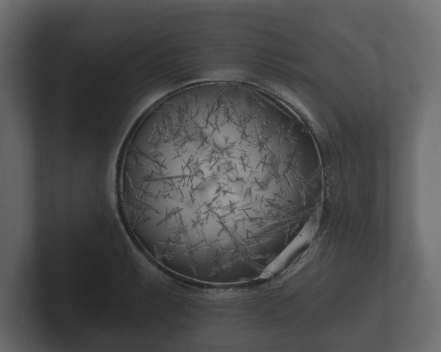X0000102791087200808251023