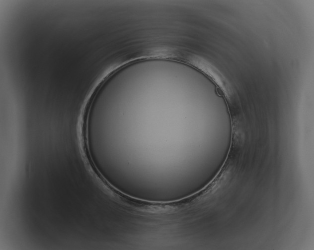 X0000102791091200808251023