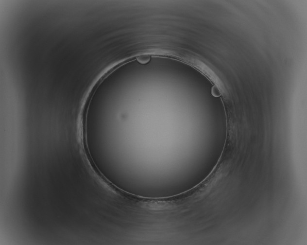 X0000102791092200808251023