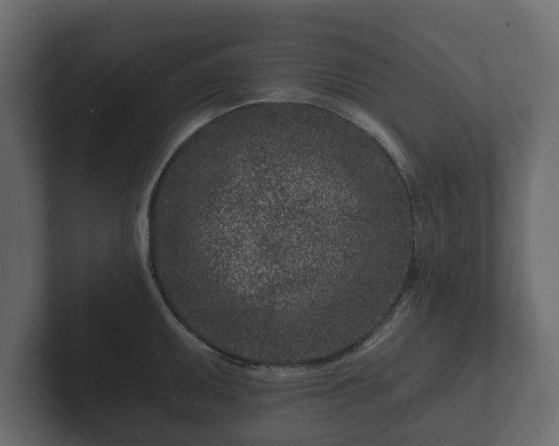 X0000102791095200808251023