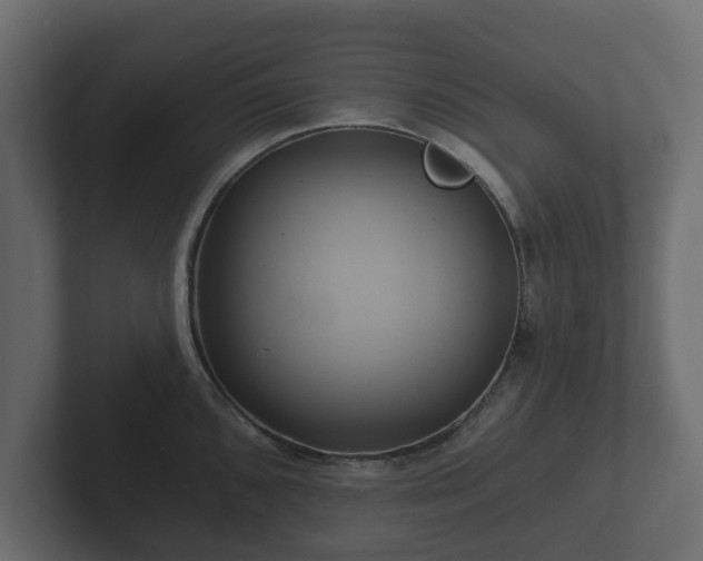 X0000102791096200808251023