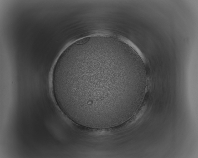 X0000102791099200808251023