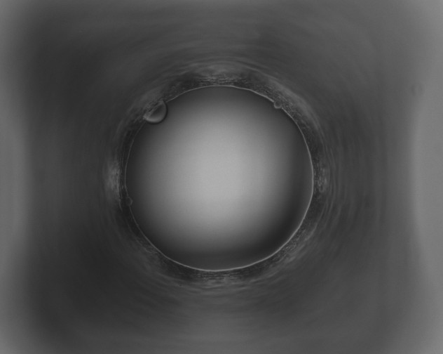 X0000102791108200808251023