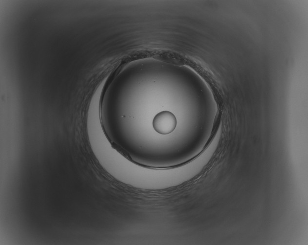 X0000102791110200808251023