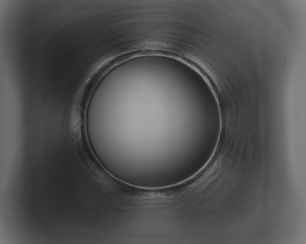 X0000102791115200808251023