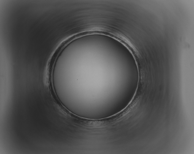 X0000102791116200808251023