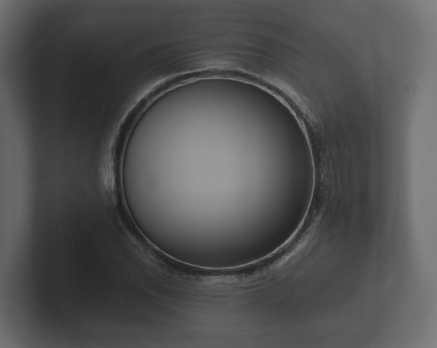 X0000102791118200808251023