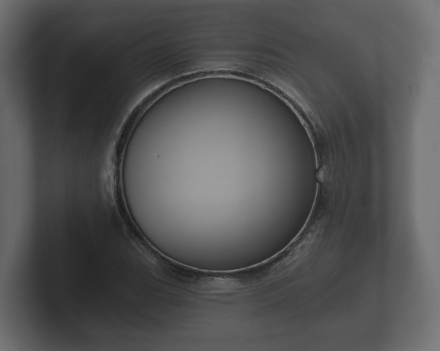 X0000102791119200808251023