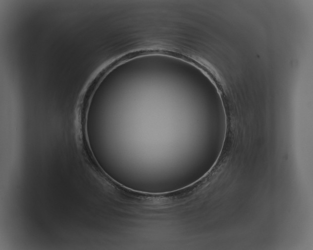 X0000102791120200808251023