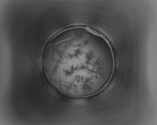 X0000102791121200808251023