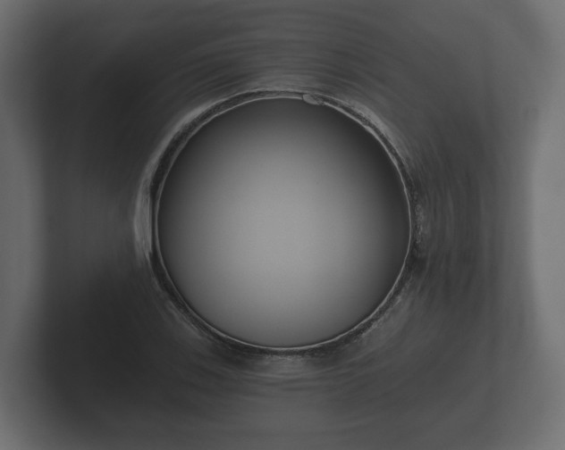 X0000102791123200808251023