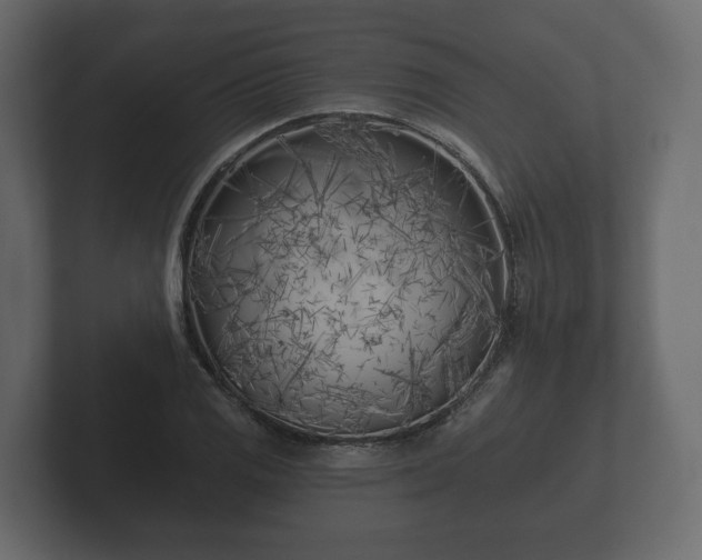 X0000102791125200808251023