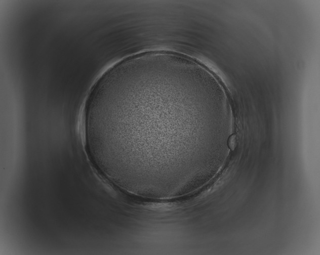 X0000102791127200808251023