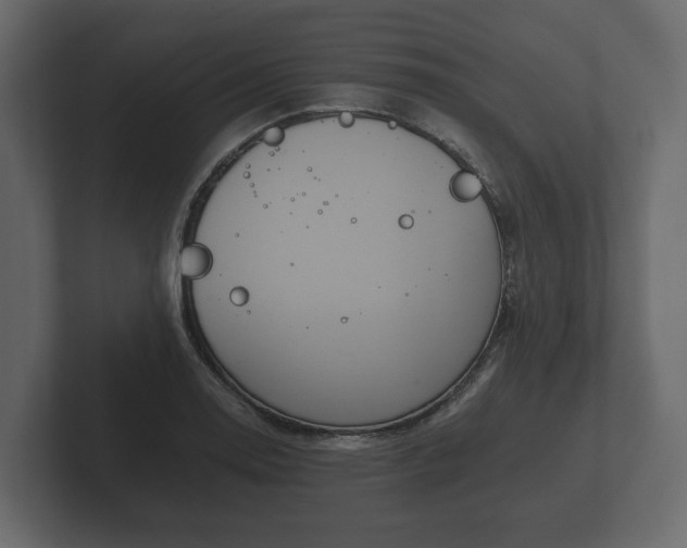 X0000102791130200808251023