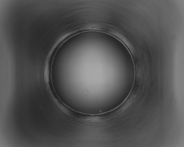 X0000102791131200808251023