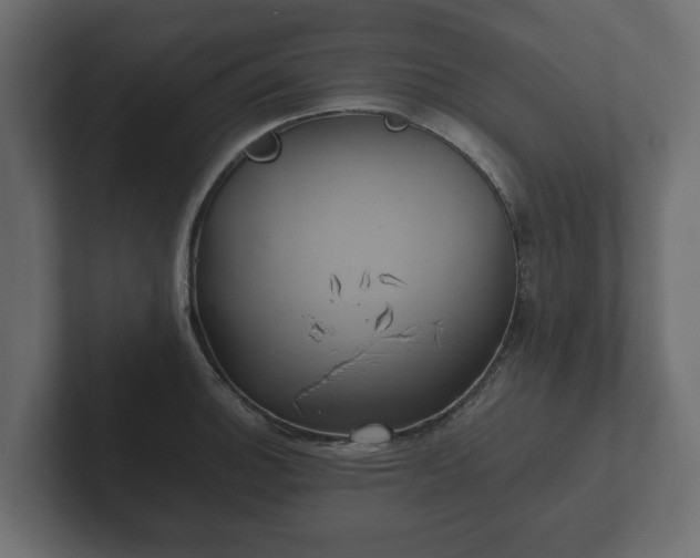 X0000102791140200808251023