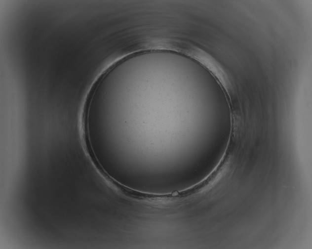 X0000102791141200808251023