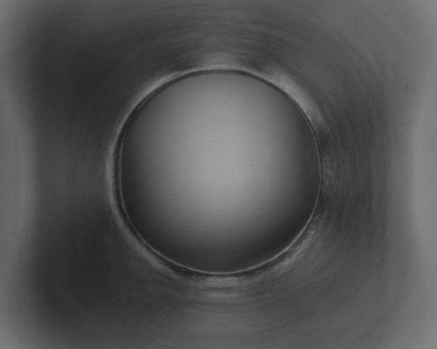 X0000102791142200808251023