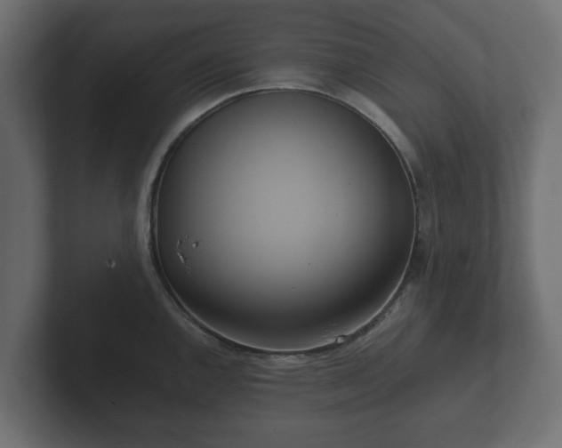 X0000102791144200808251023