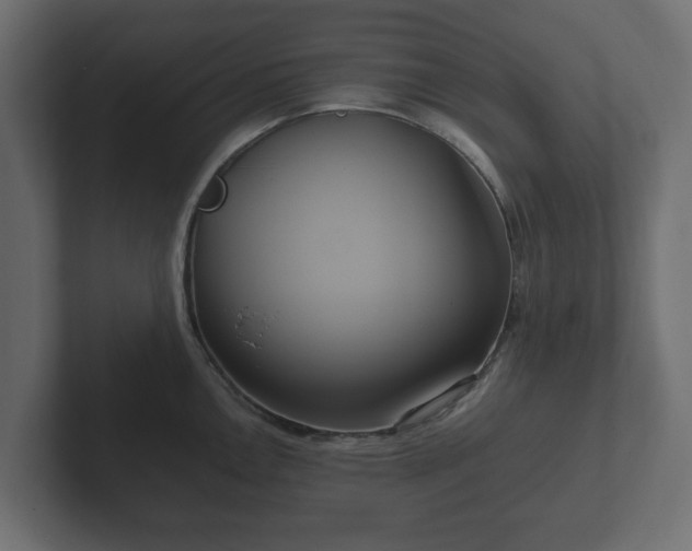 X0000102791146200808251023