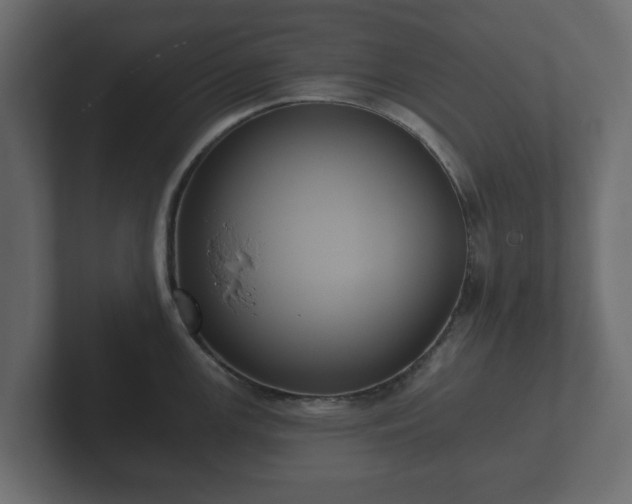 X0000102791147200808251023