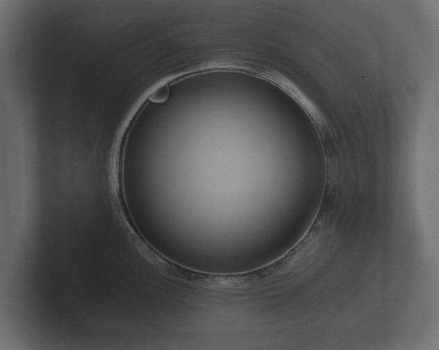 X0000102791148200808251023