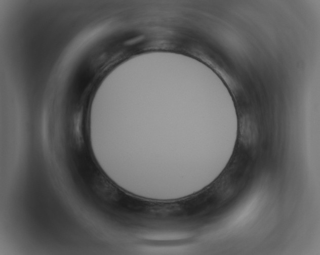 X0000102791150200808251023