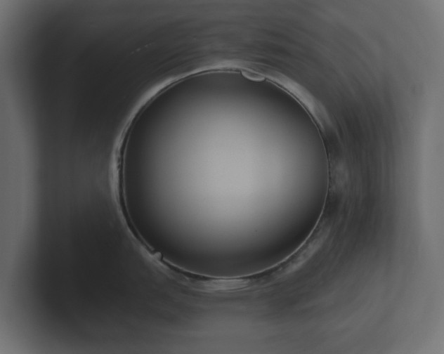 X0000102791151200808251023