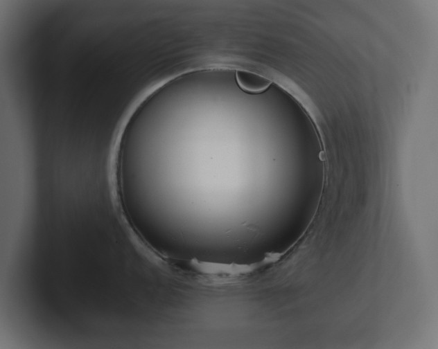 X0000102791152200808251023