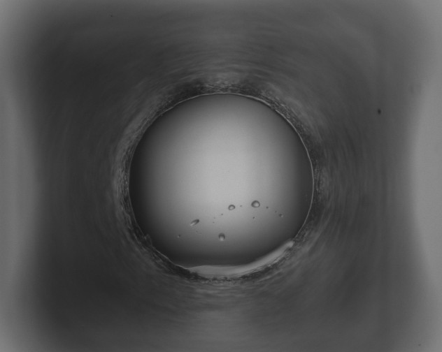 X0000102791153200808251023