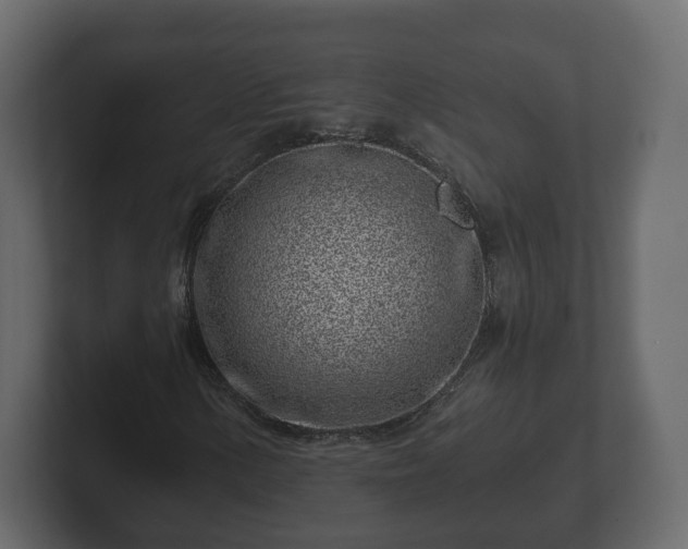 X0000102791154200808251023
