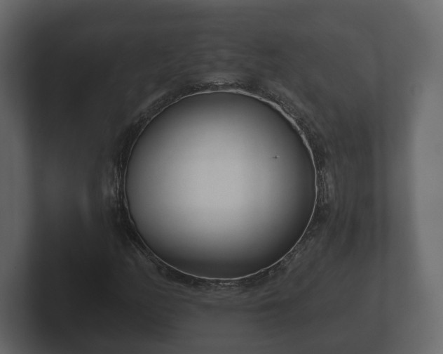 X0000102791158200808251023