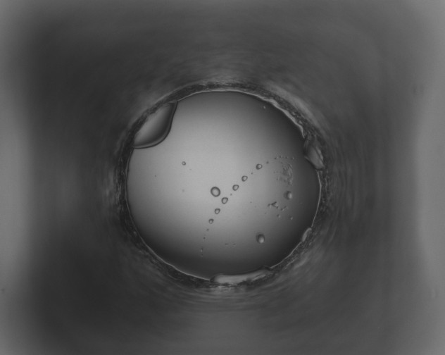 X0000102791160200808251023
