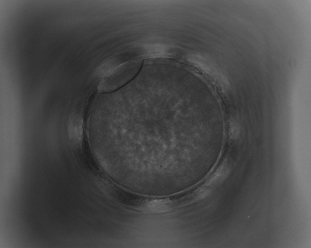 X0000102791161200808251023