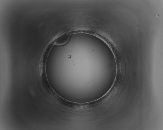 X0000102791165200808251022