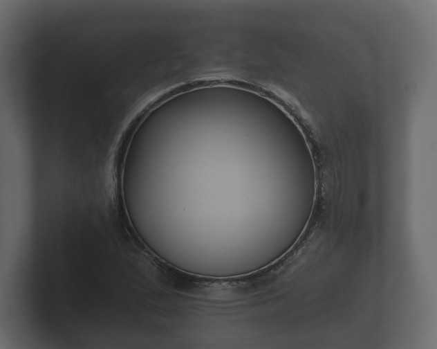 X0000102791167200808251022