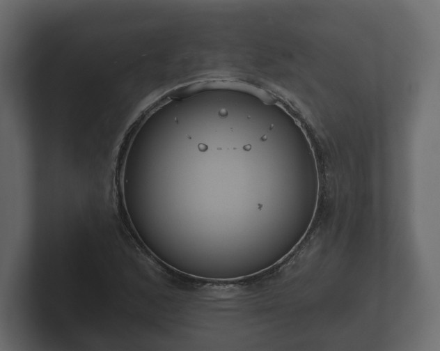 X0000102791168200808251022
