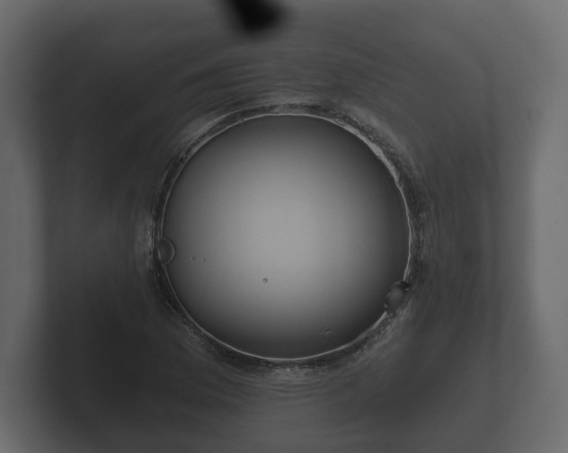 X0000102791169200808251022