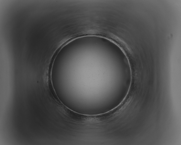 X0000102791170200808251022