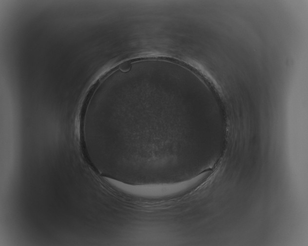 X0000102791173200808251022