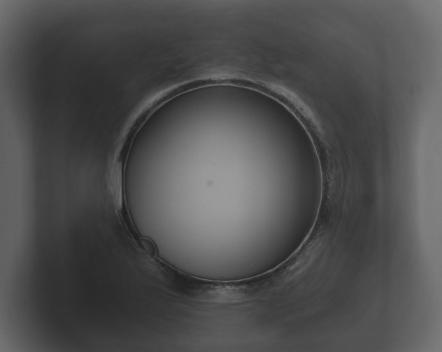 X0000102791175200808251022