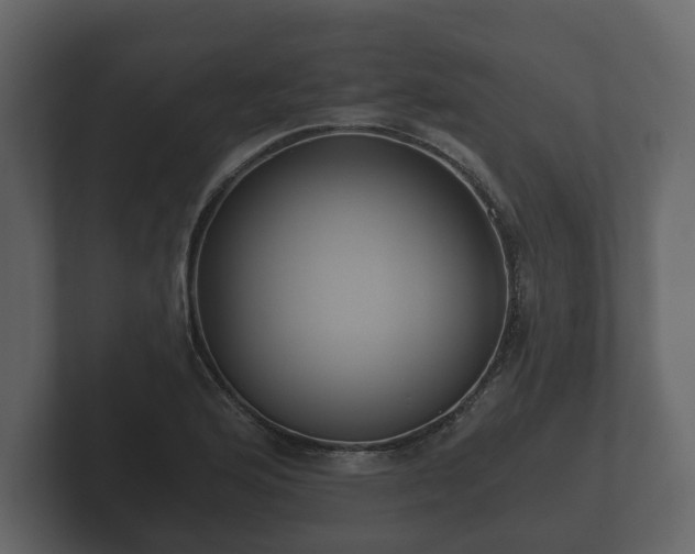 X0000102791176200808251022