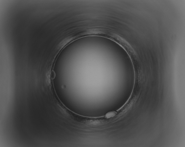 X0000102791177200808251022