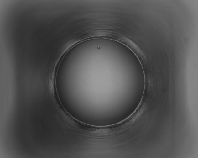 X0000102791178200808251022